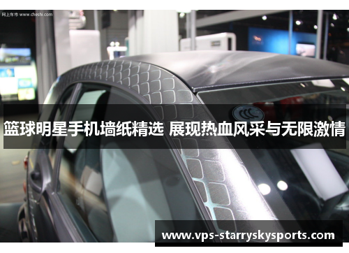 篮球明星手机墙纸精选 展现热血风采与无限激情